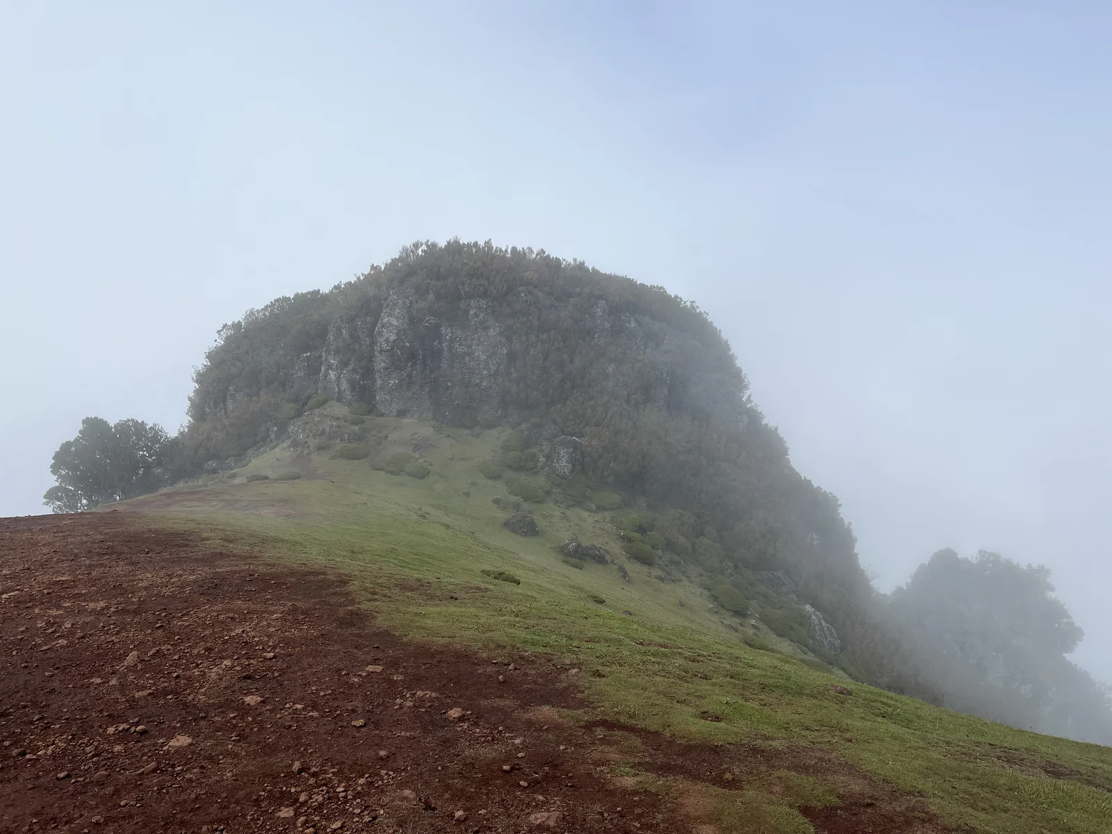 A narrow reddish trail leading toward a wooded ridge in Madeira